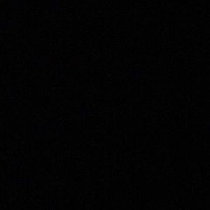 Meet your Posher, Audrey